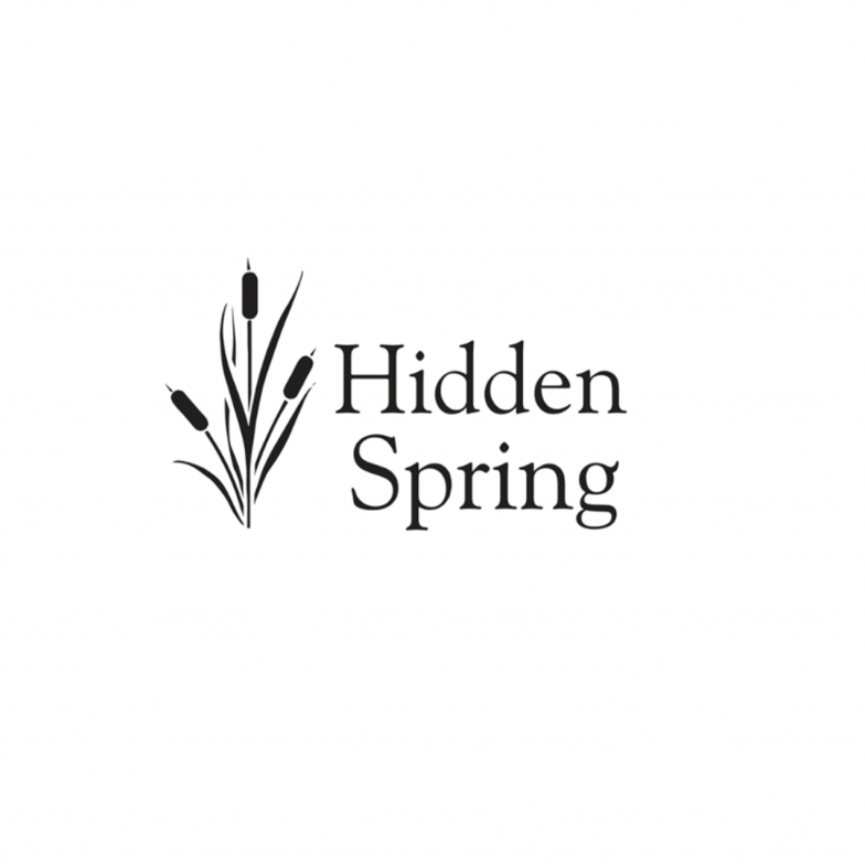 Hidden spring